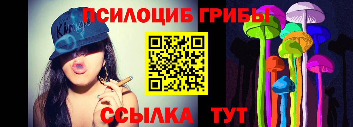 Псилоцибиновые грибы Psilocybe  Вход с VPN  Омск 